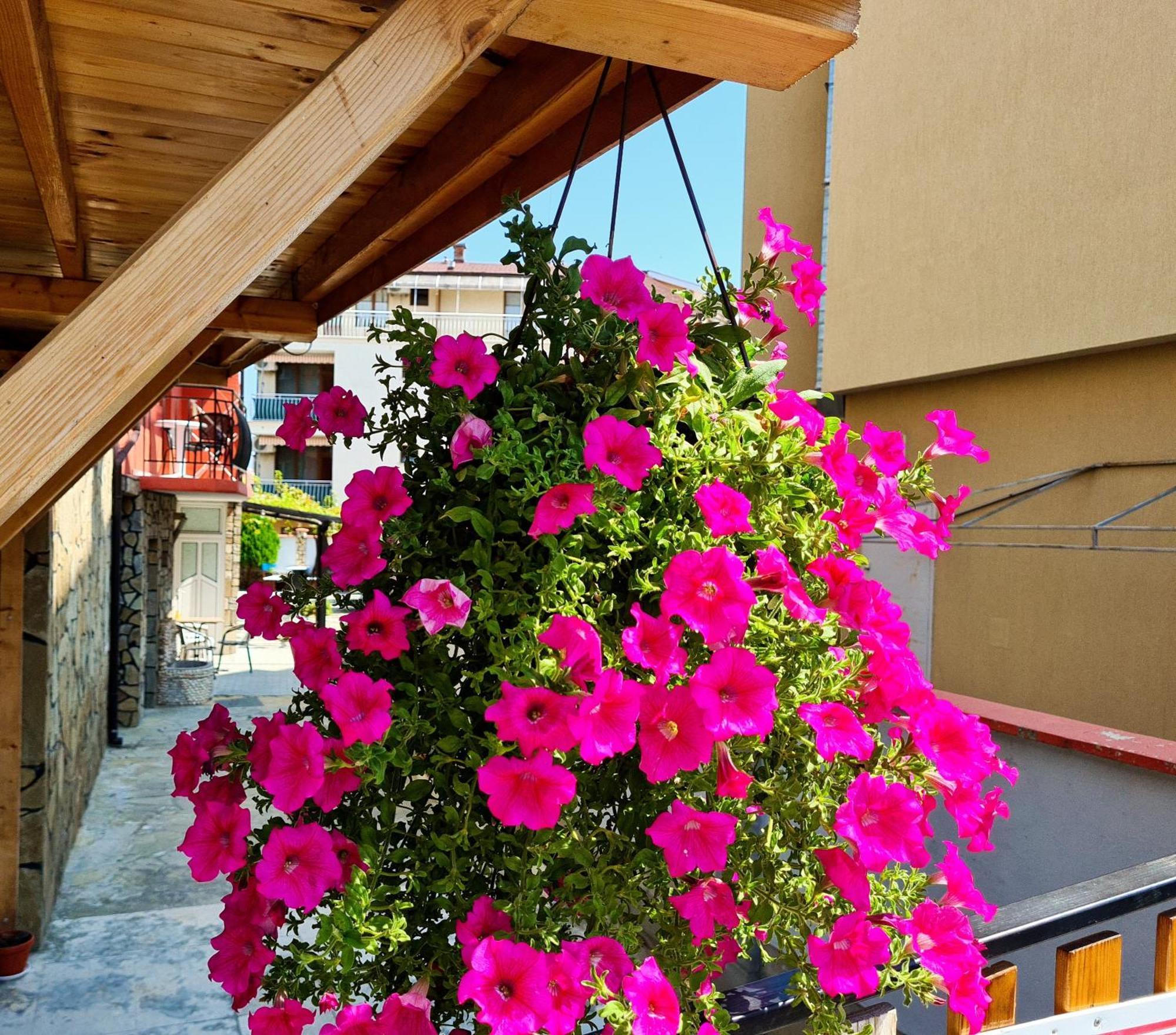 Sineva Guest House ラヴダ エクステリア 写真
